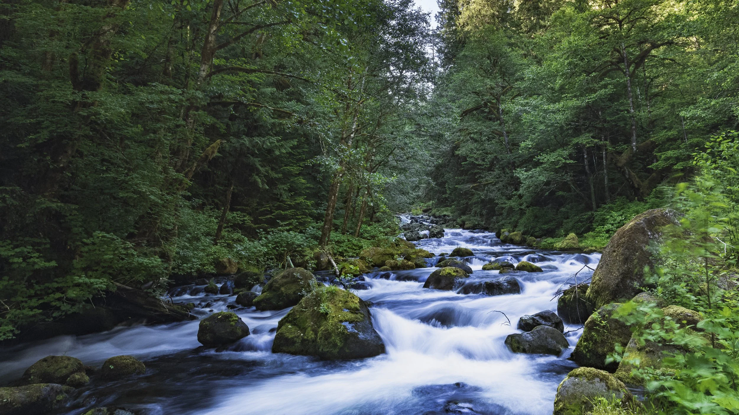 _5II7948.jpg