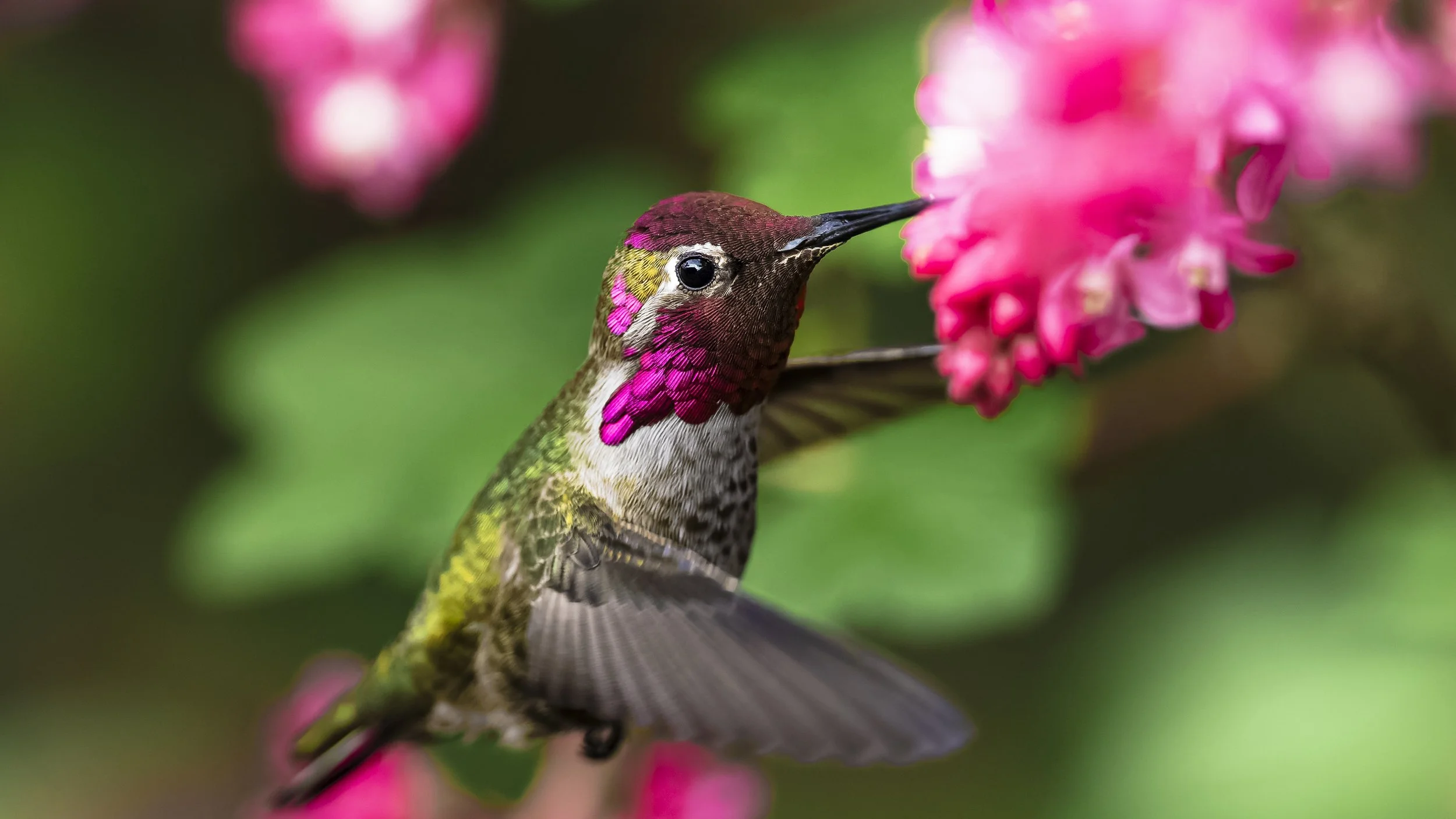 _5II9365-DxO_DeepPRIME XD3.jpg