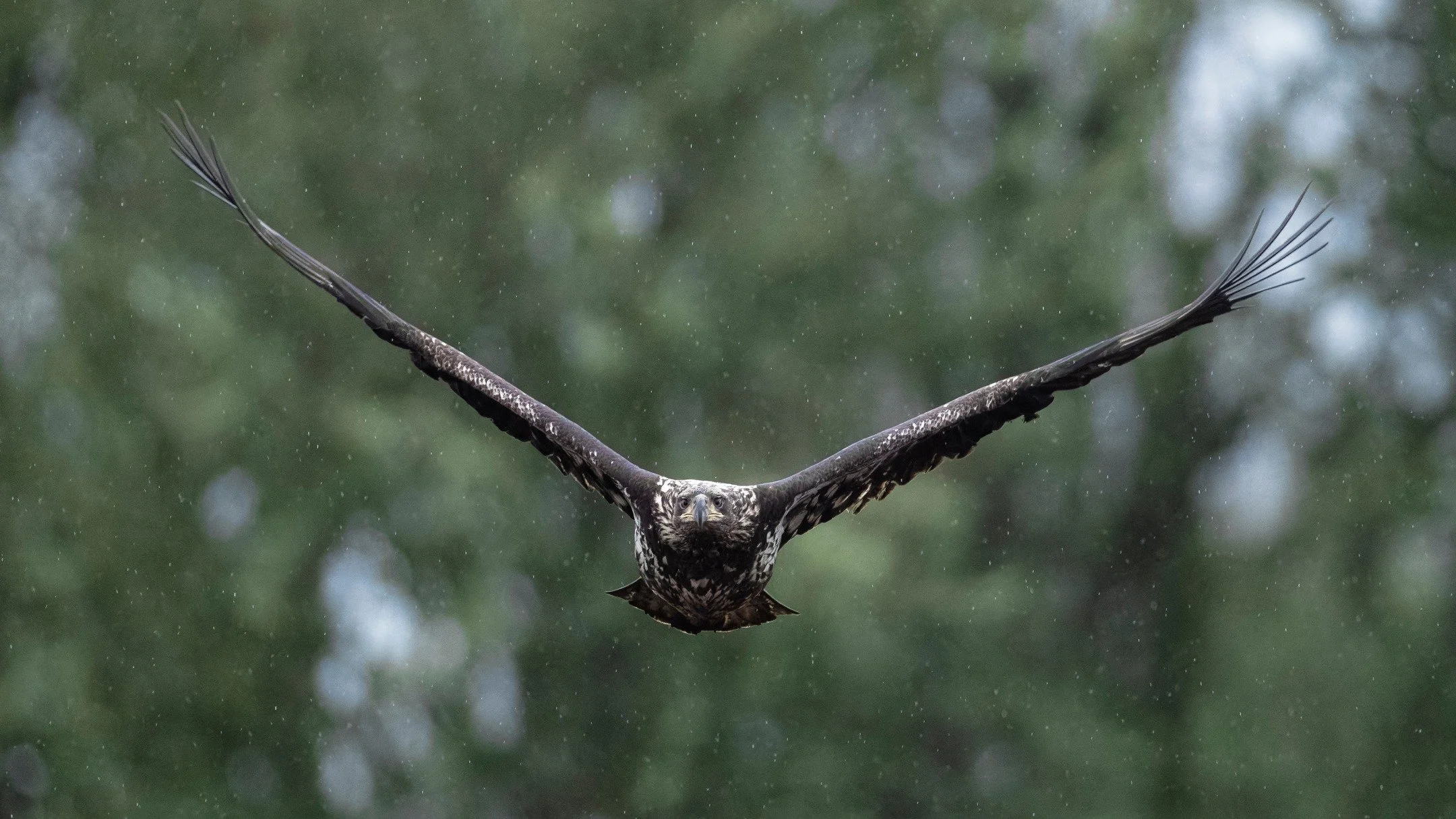 He has refused his Assent to Laws, the most wholesome and necessary for the public good.

He has made Judges dependent on his Will alone, for the tenure of their offices, and the amount and payment of their salaries.

He has kept among us, in times o