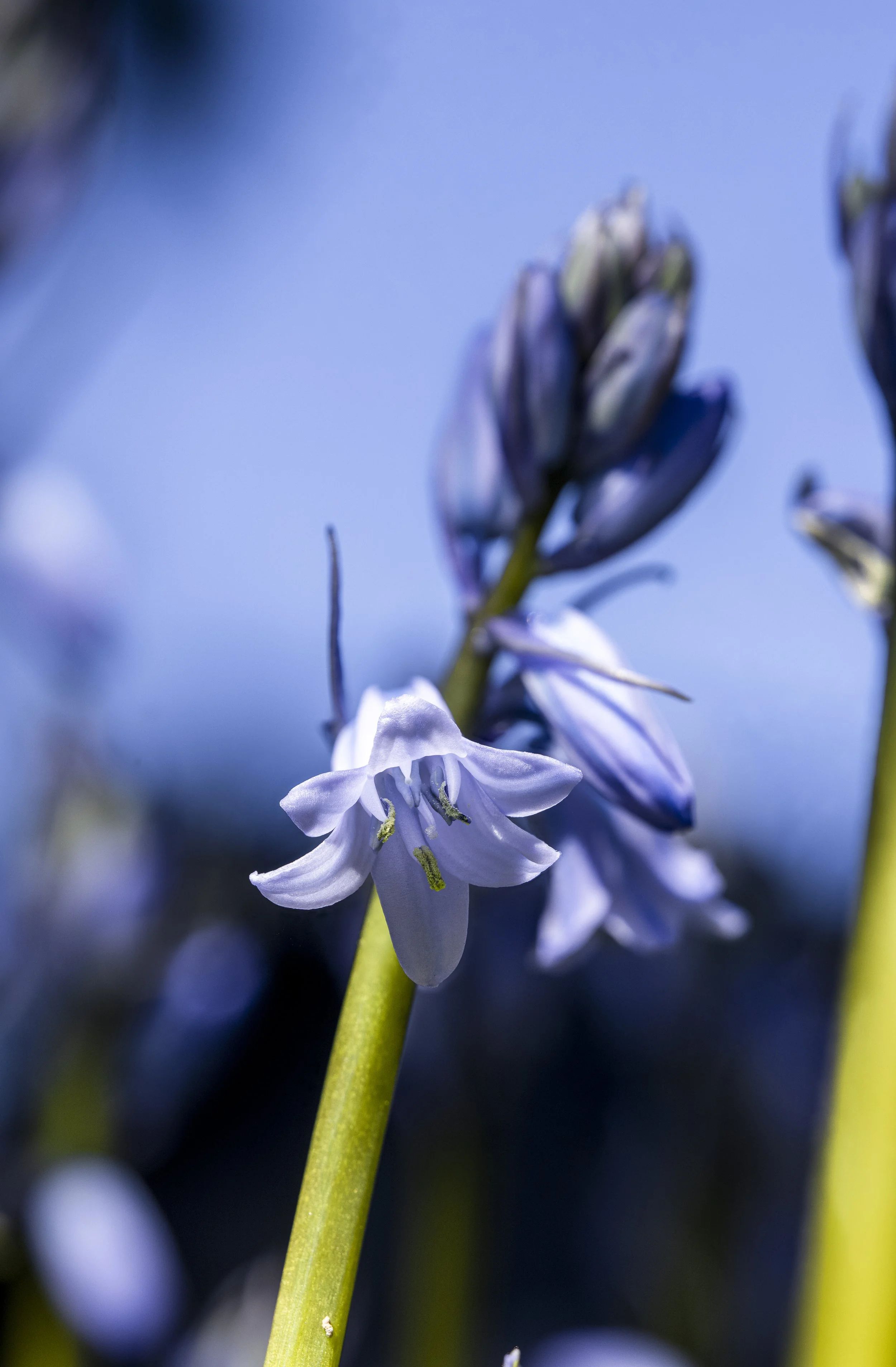 2026-04-08 15-50-40 (B,R4,S3).jpg