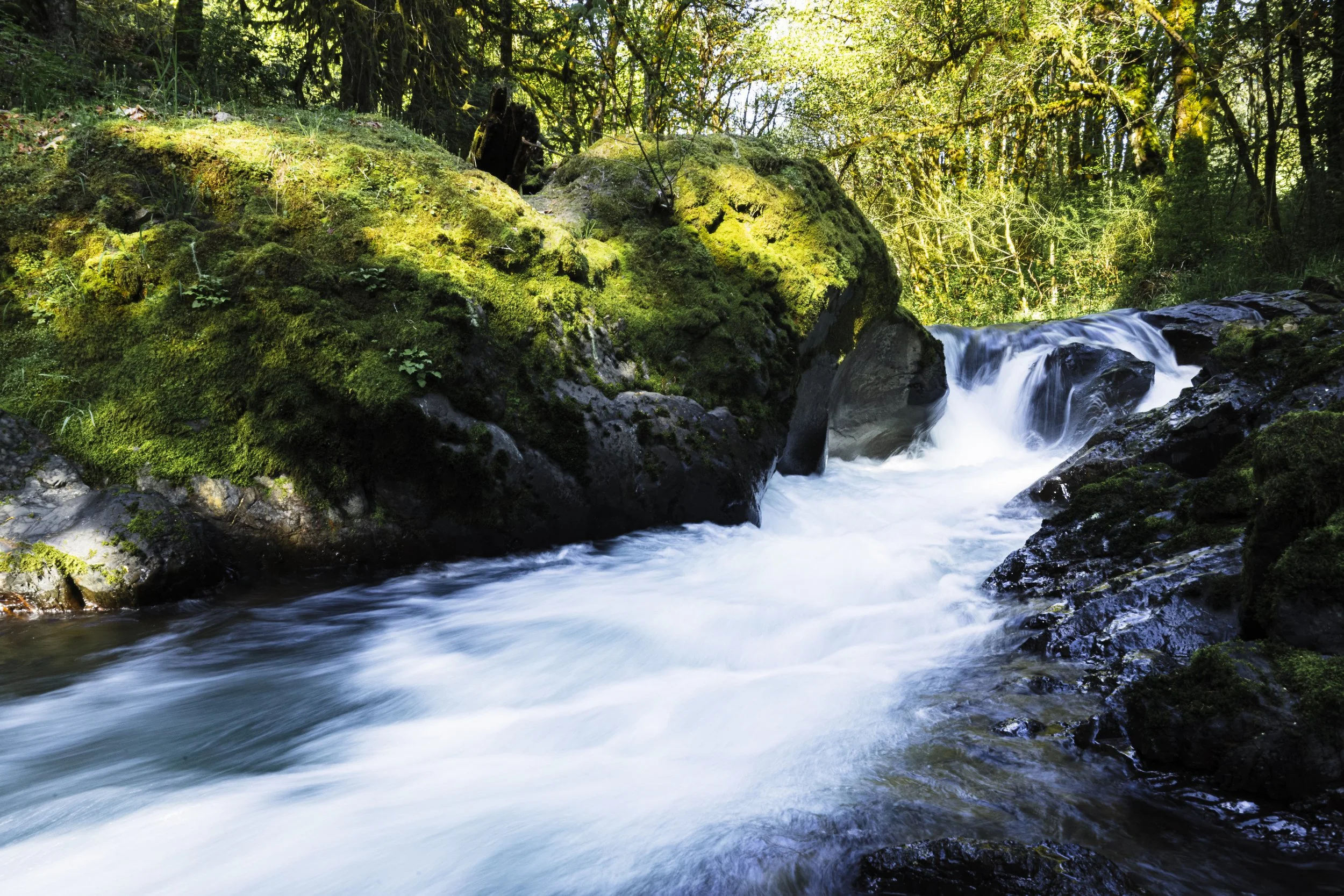 _5II1757-HDR.jpg