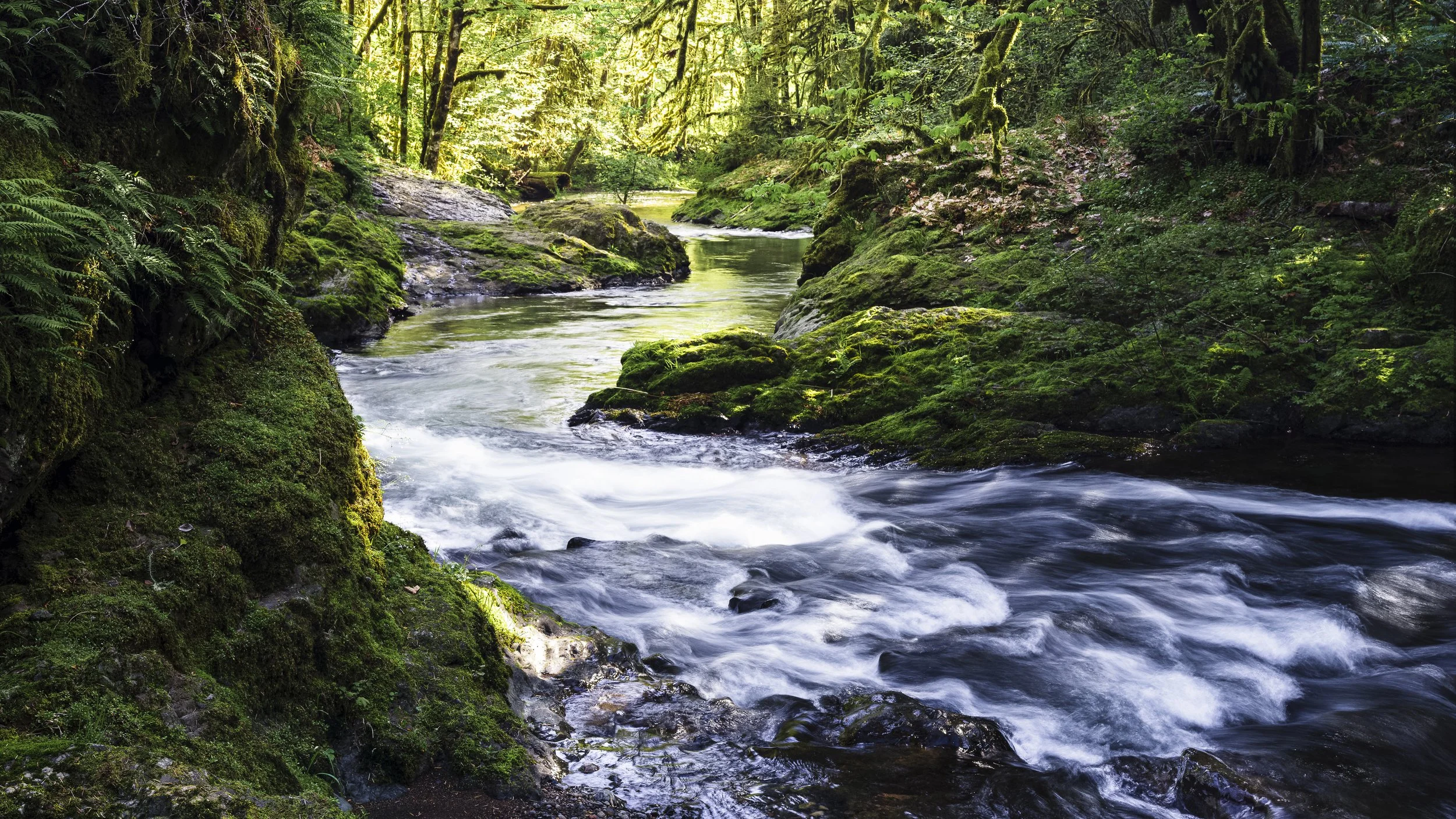 _5II1786-Edit.jpg