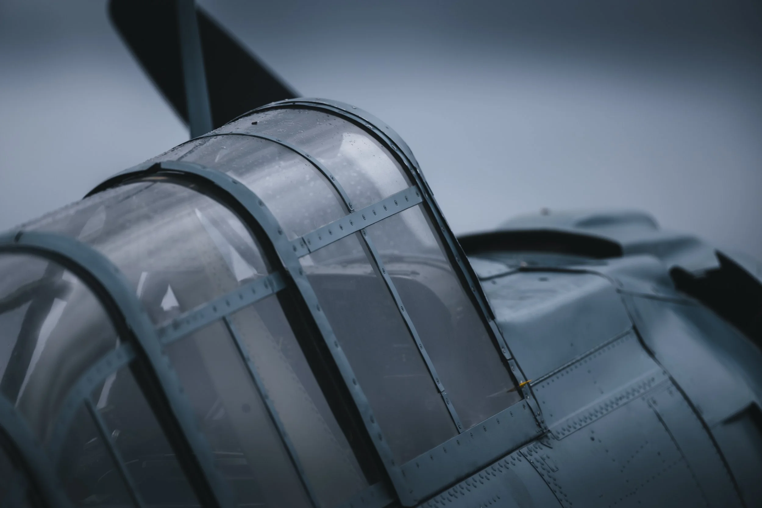 _5II4497.jpg
