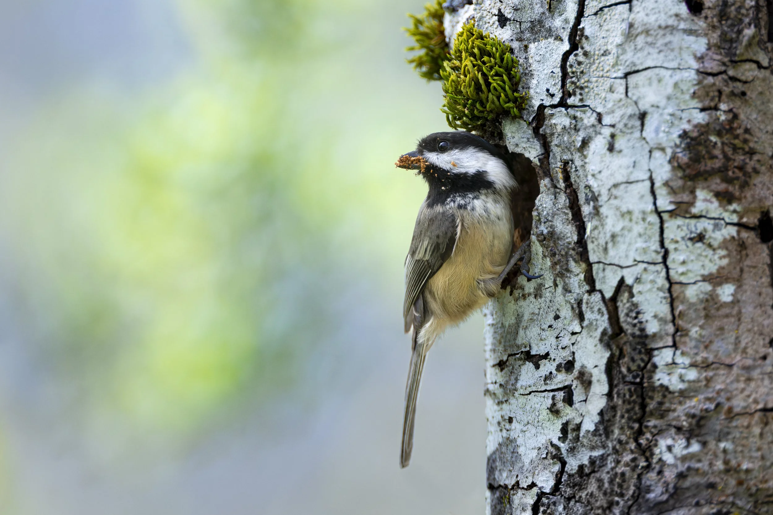 _5II0377-DxO_DeepPRIME XD3-Edit.jpg