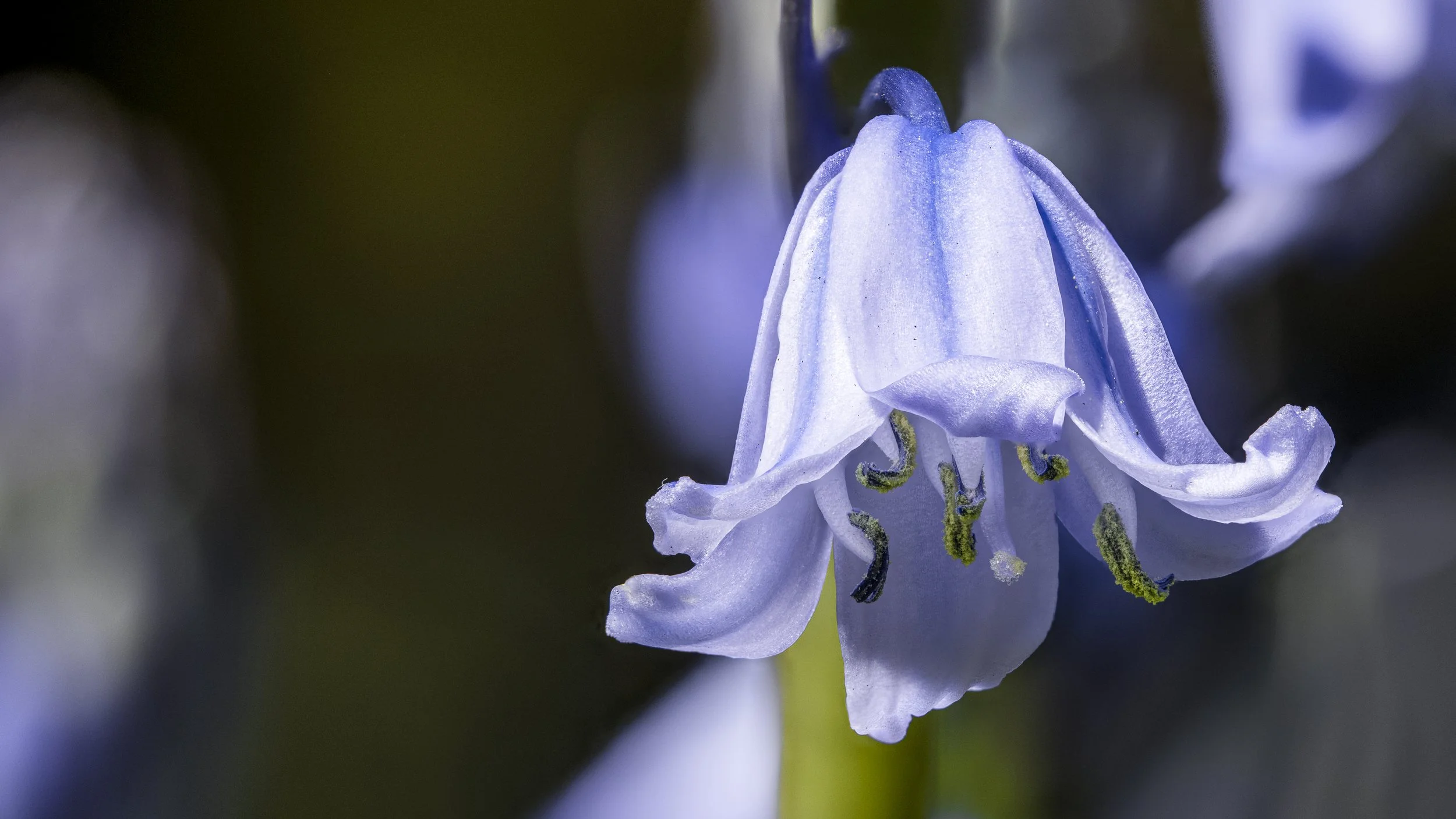 2026-04-08 15-39-57 (B,R4,S3).jpg