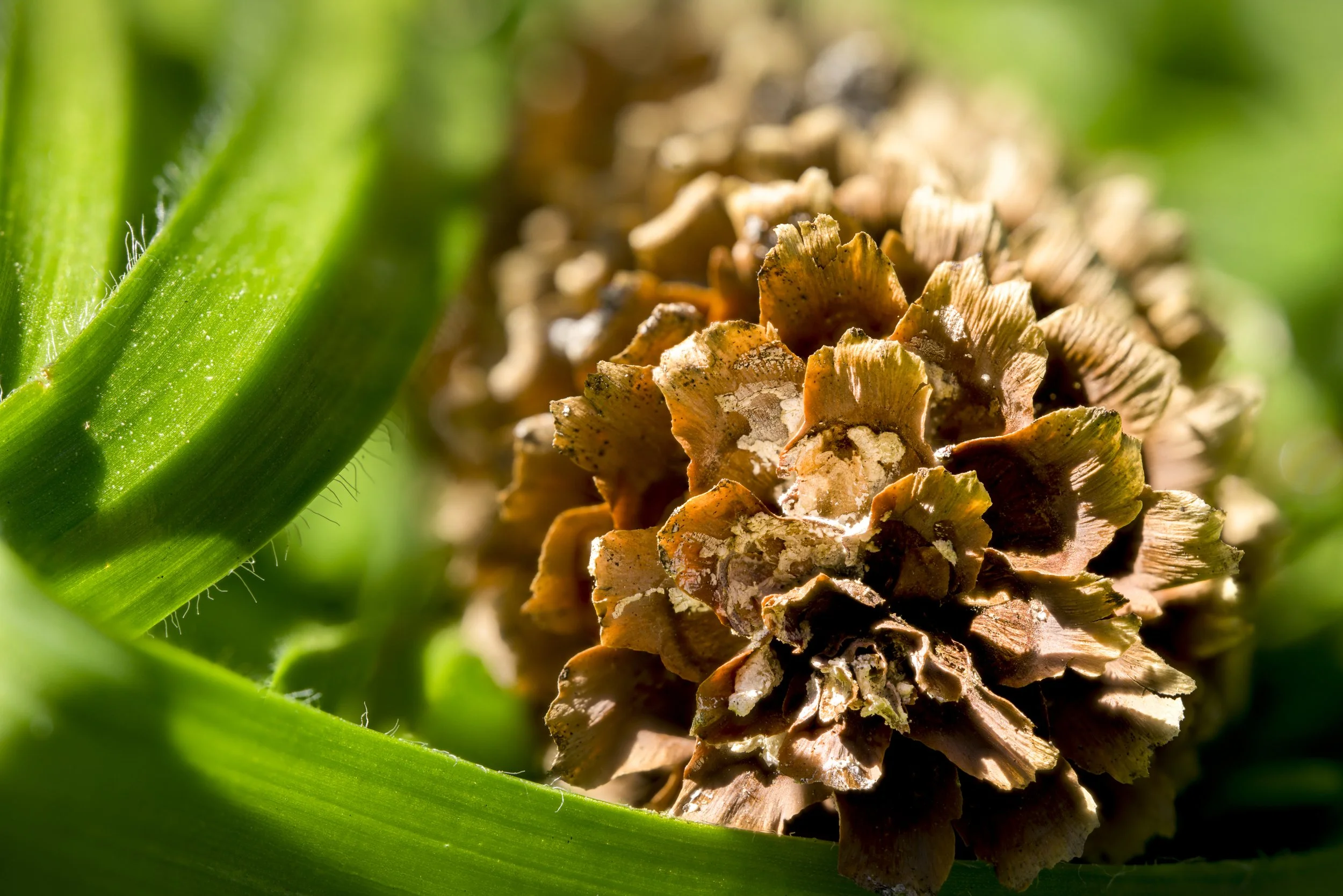 2026-04-08 16-14-50 (C,S3).jpg