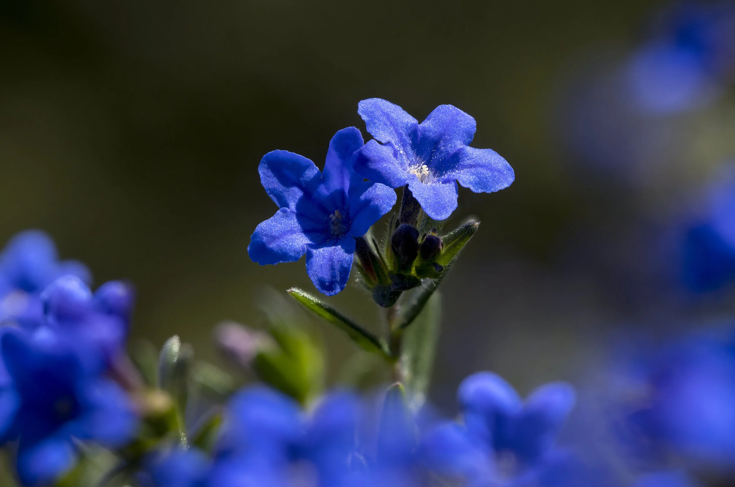 2026-04-08 15-17-04 (B,R4,S3).jpg