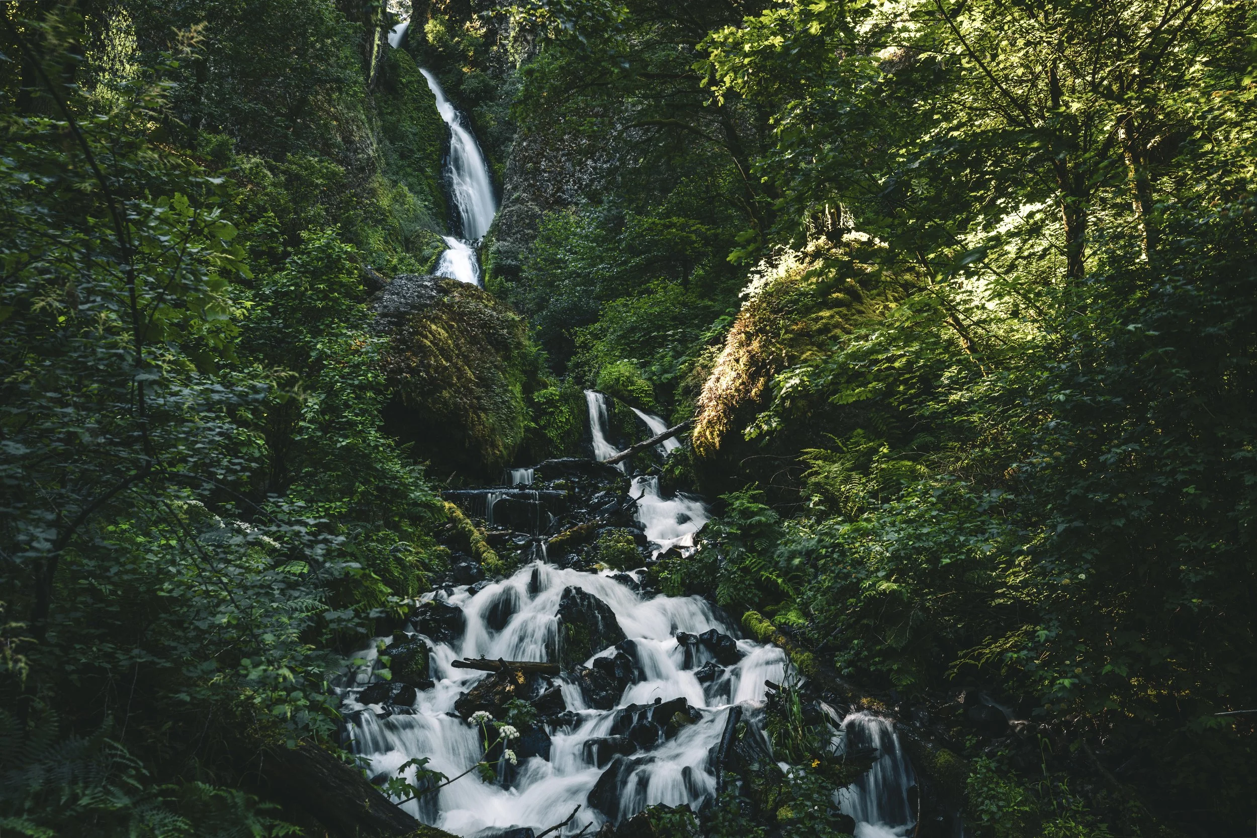 _5II5614-HDR.jpg