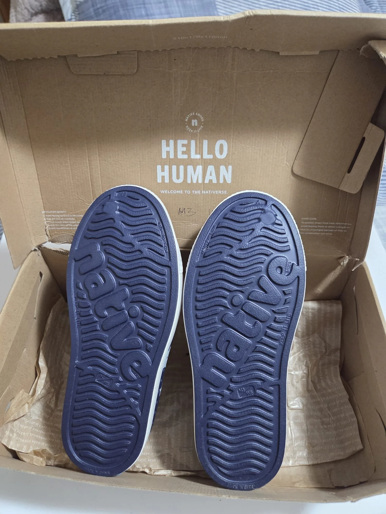 WhatsApp Image 2026-02-09 at 12.29.47.jpeg