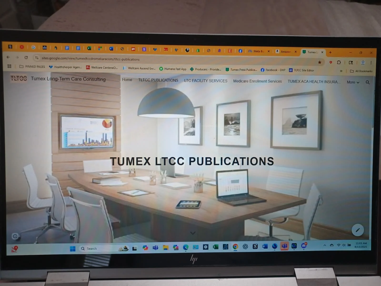 Computer screen displaying a website for Tumex Long-Term Care Consulting, showing a conference room with a wooden table, white chairs, framed artwork on the wall, a laptop, tablet, and office supplies.