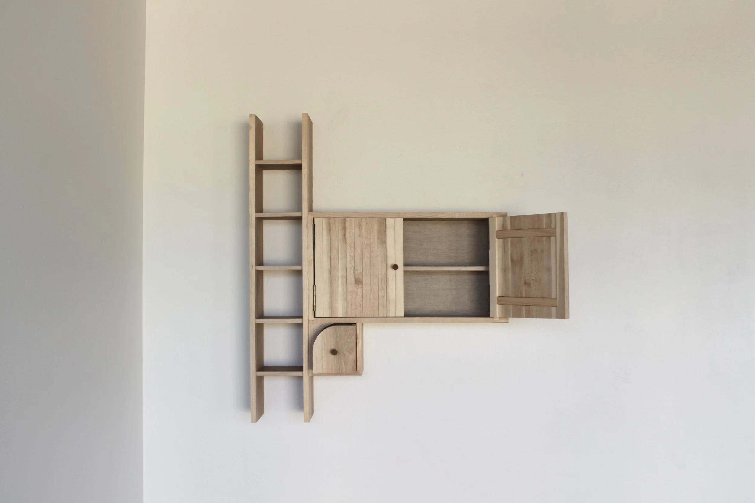 LadderCabinet-open-2024.jpg