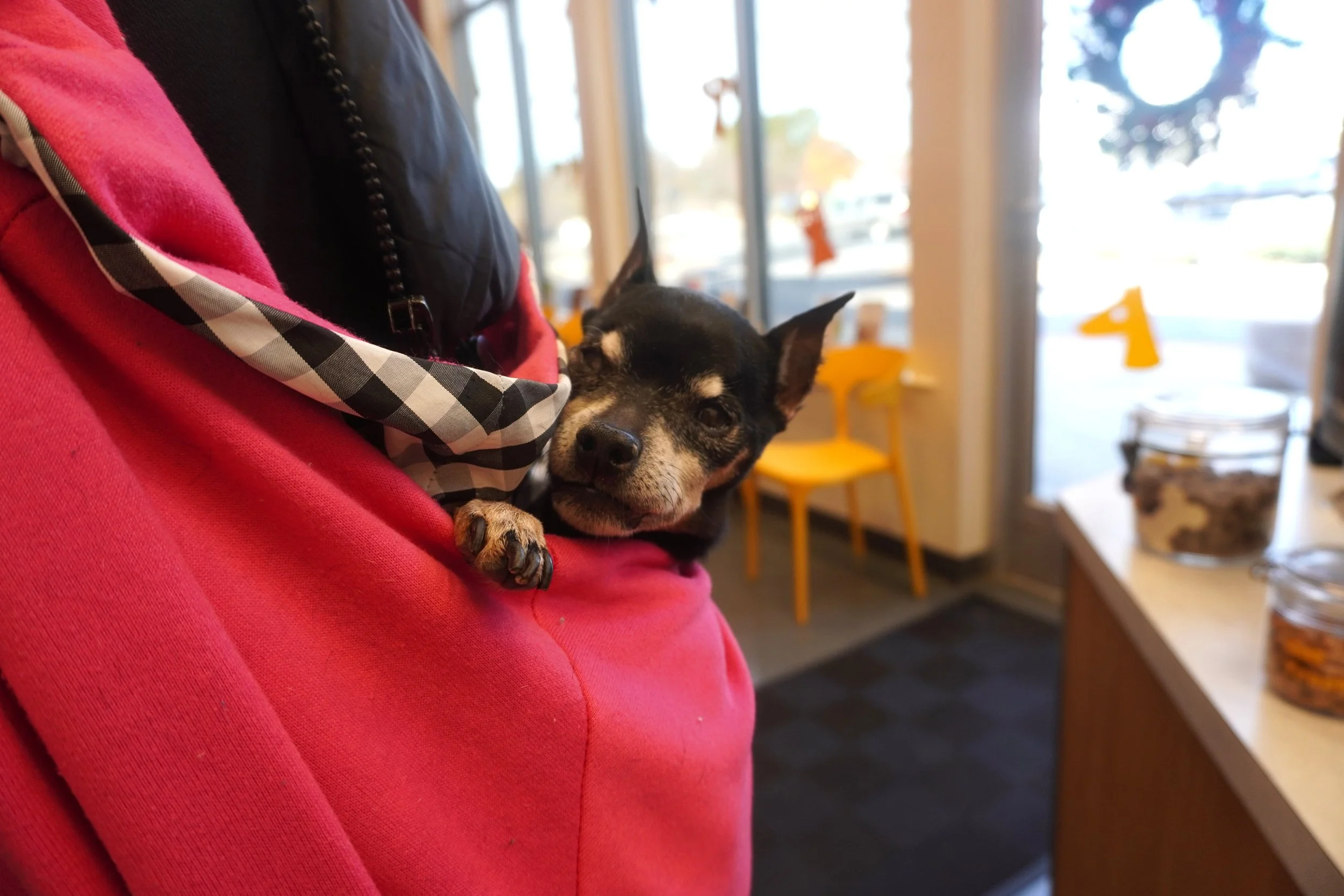 Kiwi’s Still Got It