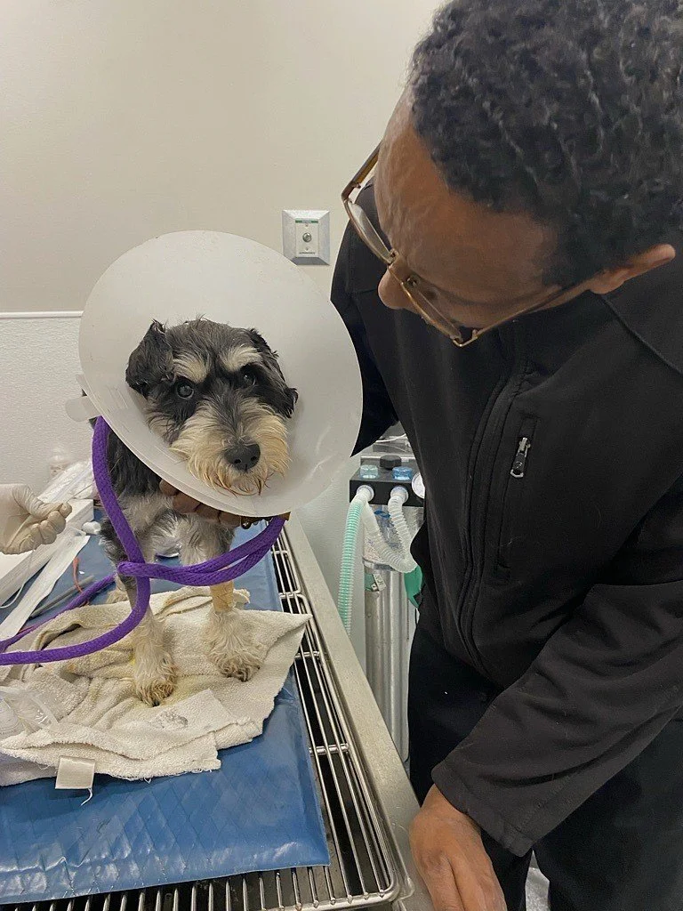 Mango’s Second Chance