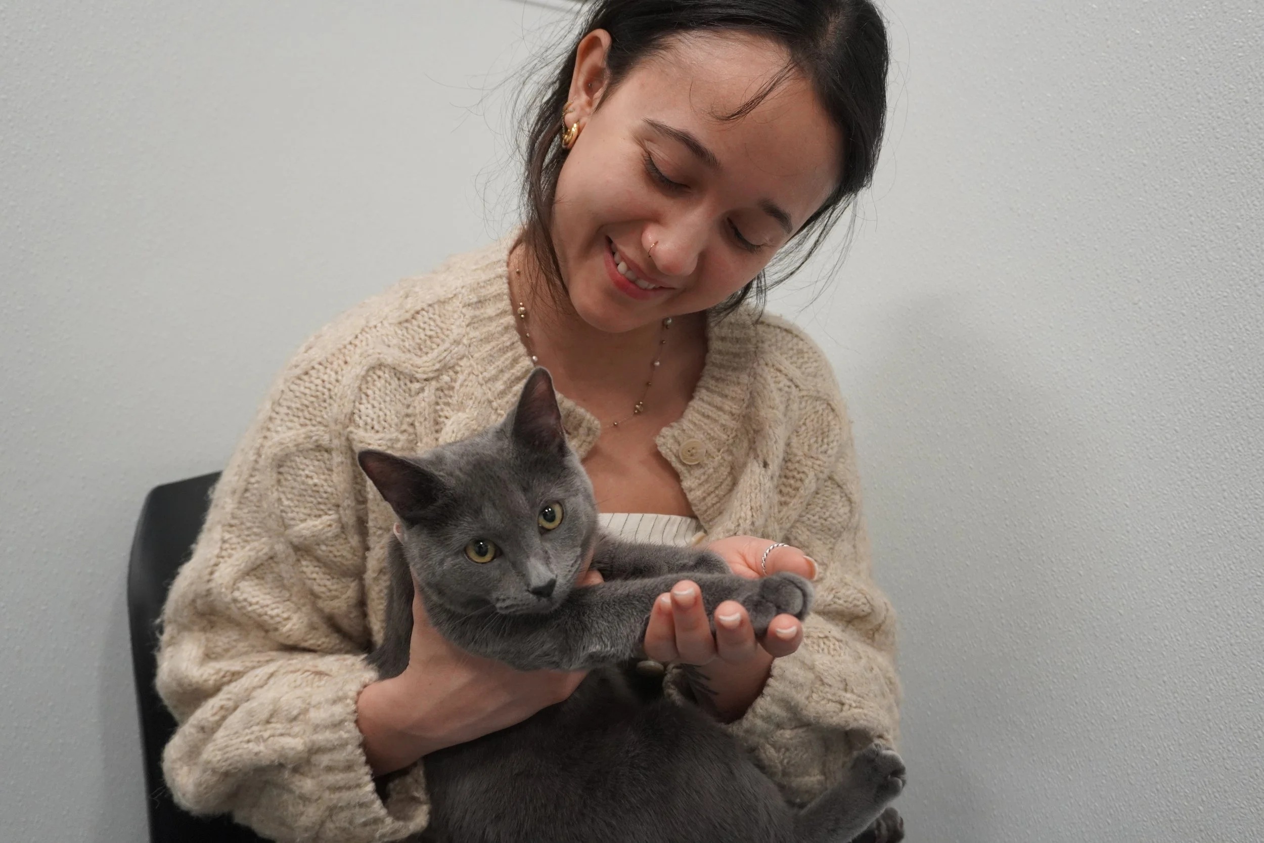First-Time Cat Parent Tips