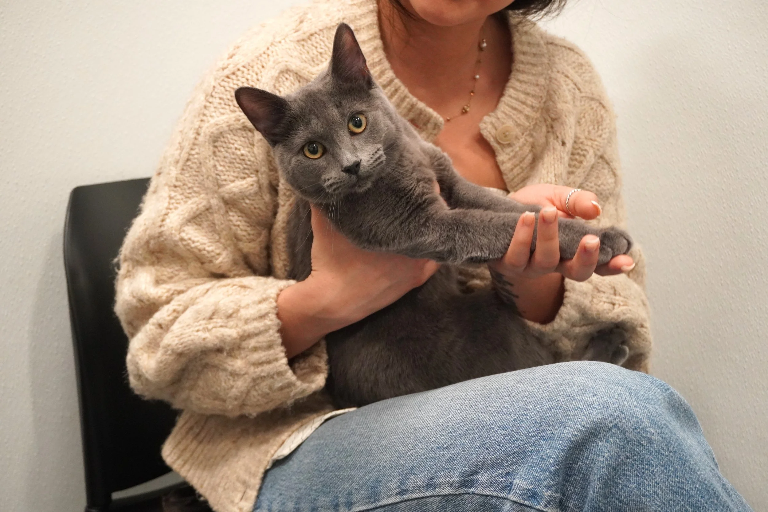 A woman sitting on the kitchen floor with her back against blue cabinets, playfully holding a West Highland White Terrier dog and sharing a joyful moment.