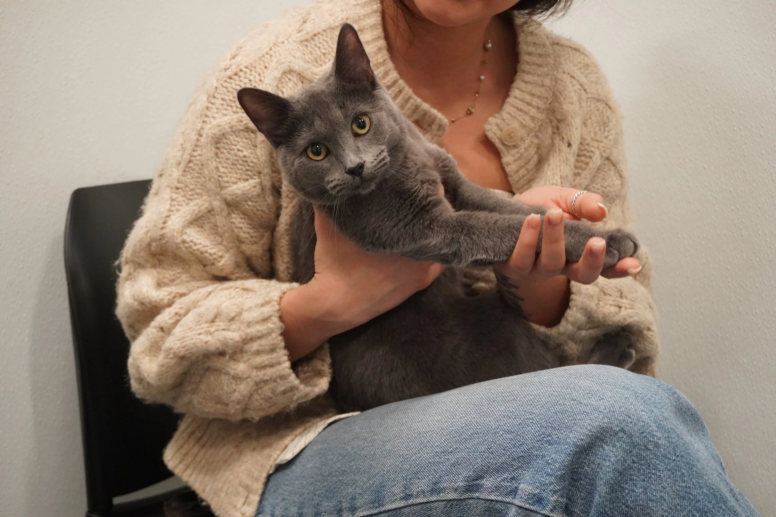 A woman sitting on the kitchen floor with her back against blue cabinets, playfully holding a West Highland White Terrier dog and sharing a joyful moment.