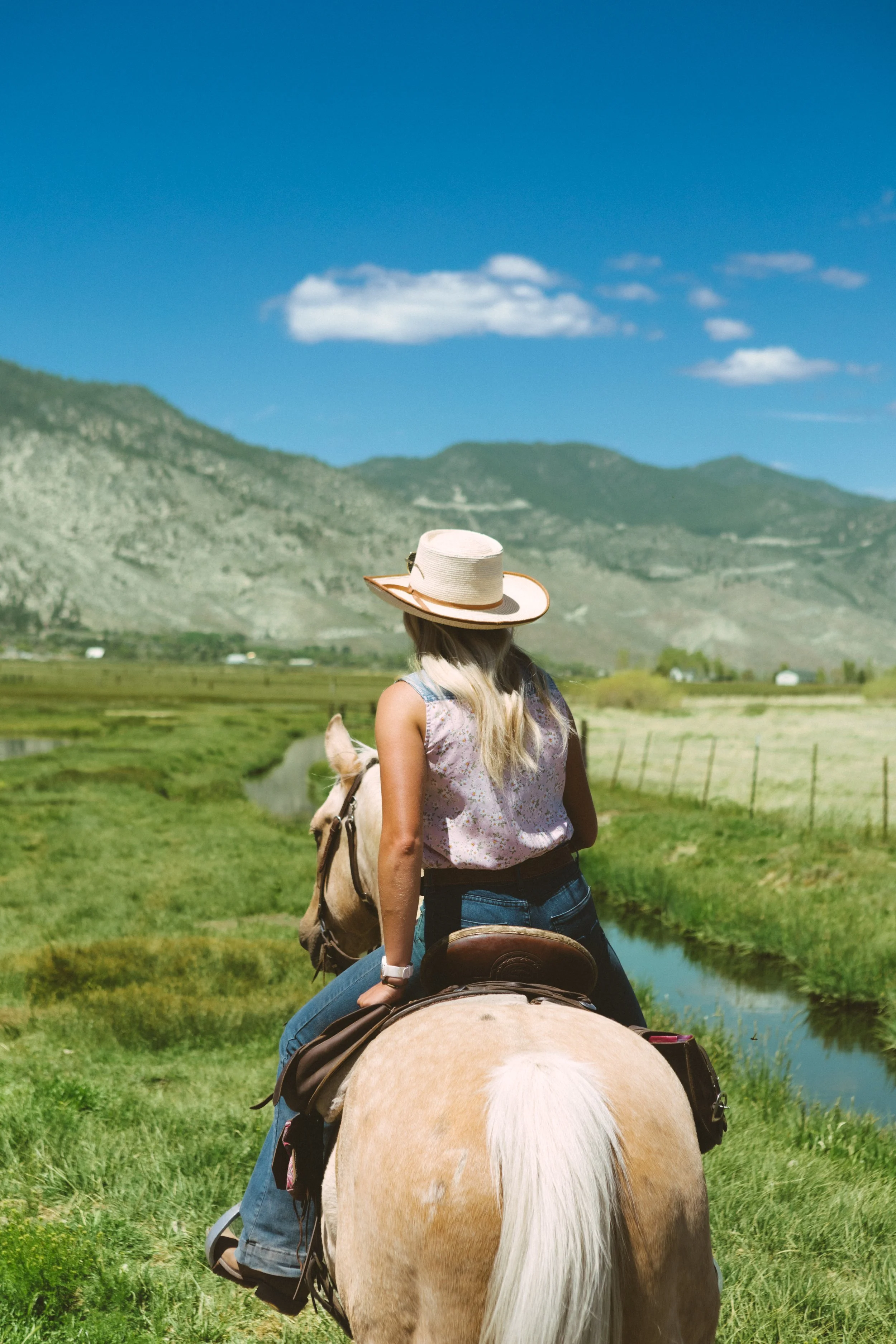Low-Country Hayfield Ride