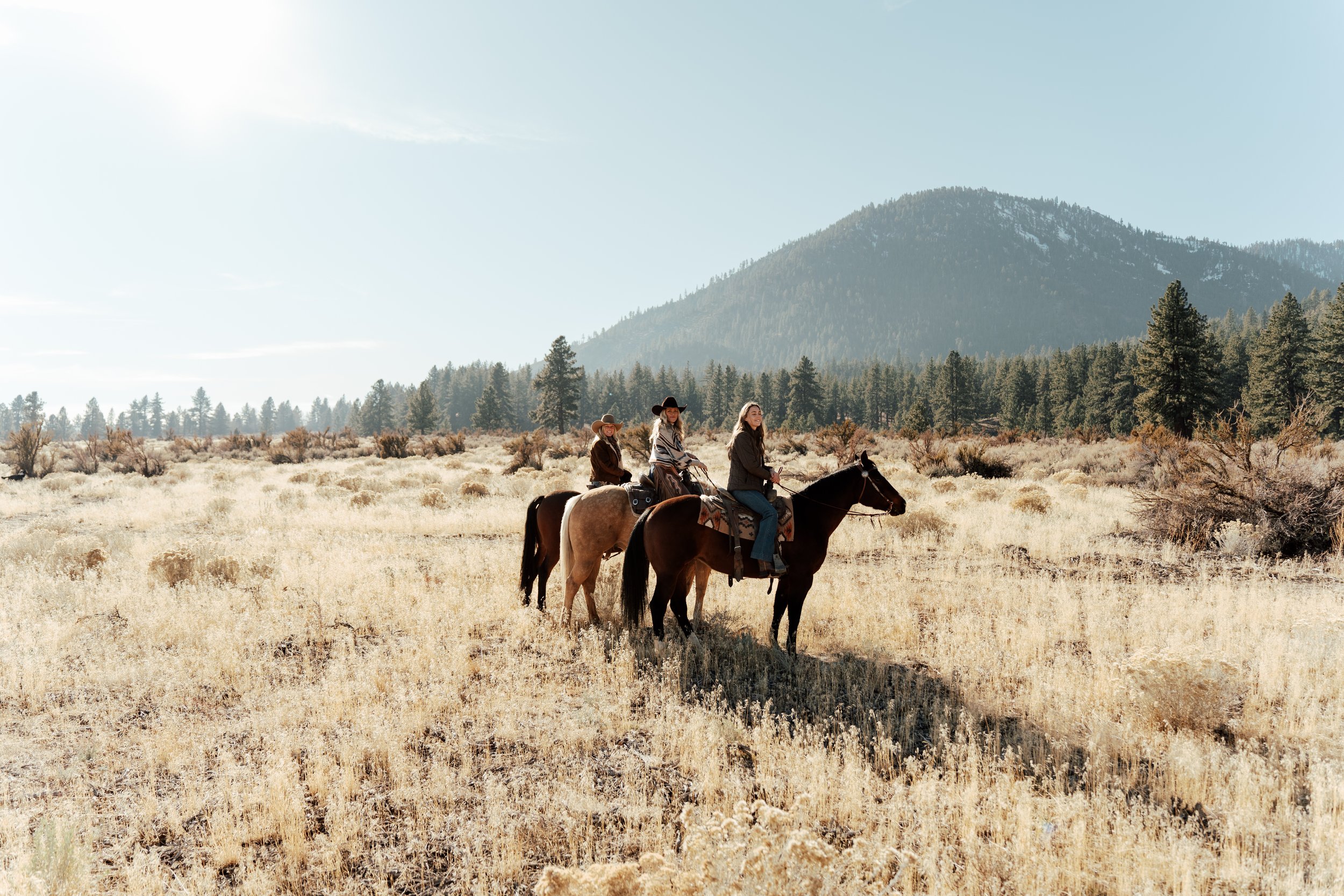 Three people riding horses in an open field with mountains and trees in the background.