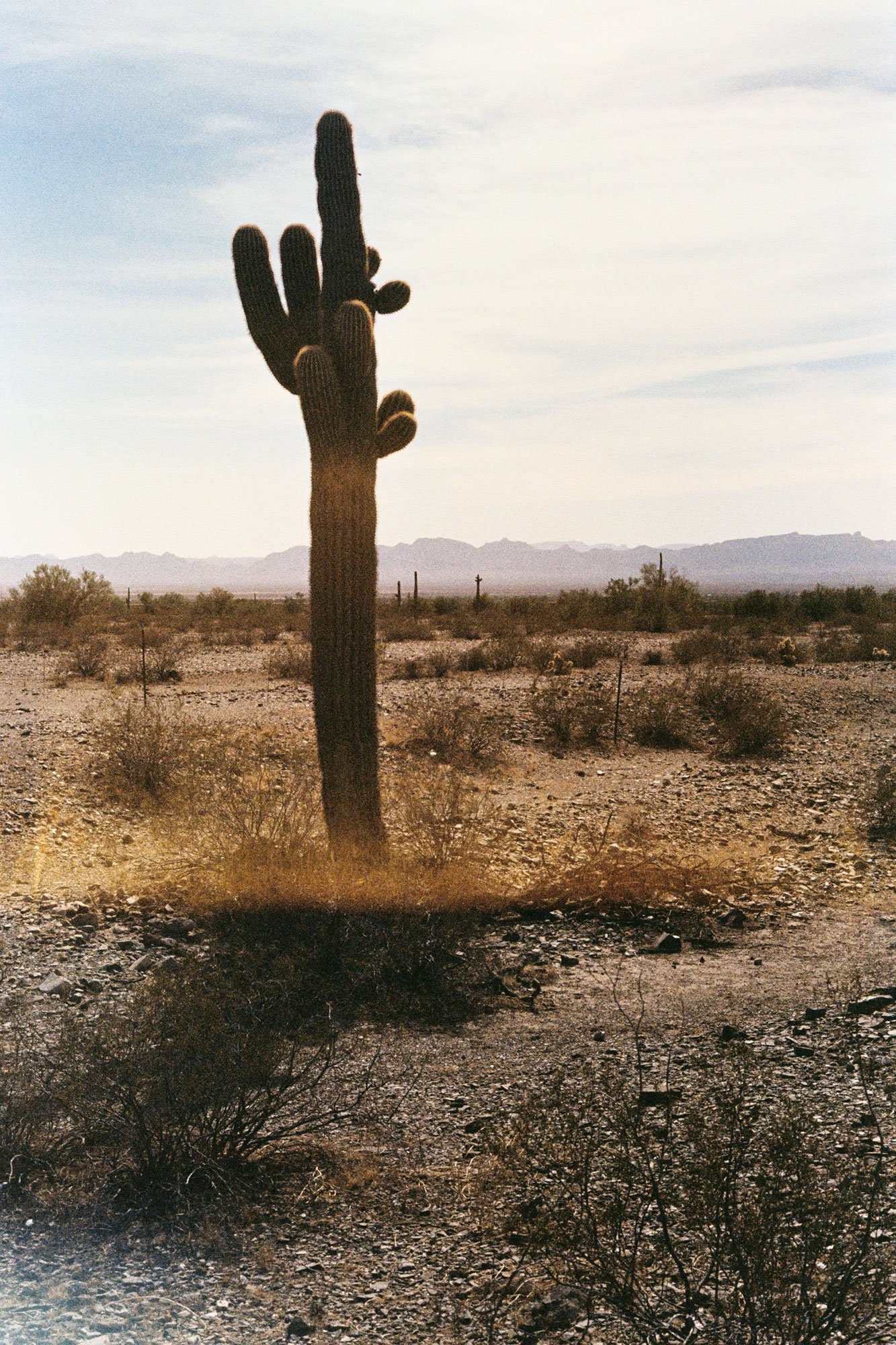 2022-DesertLandscape_JeremyGuns_Canon--025.jpg