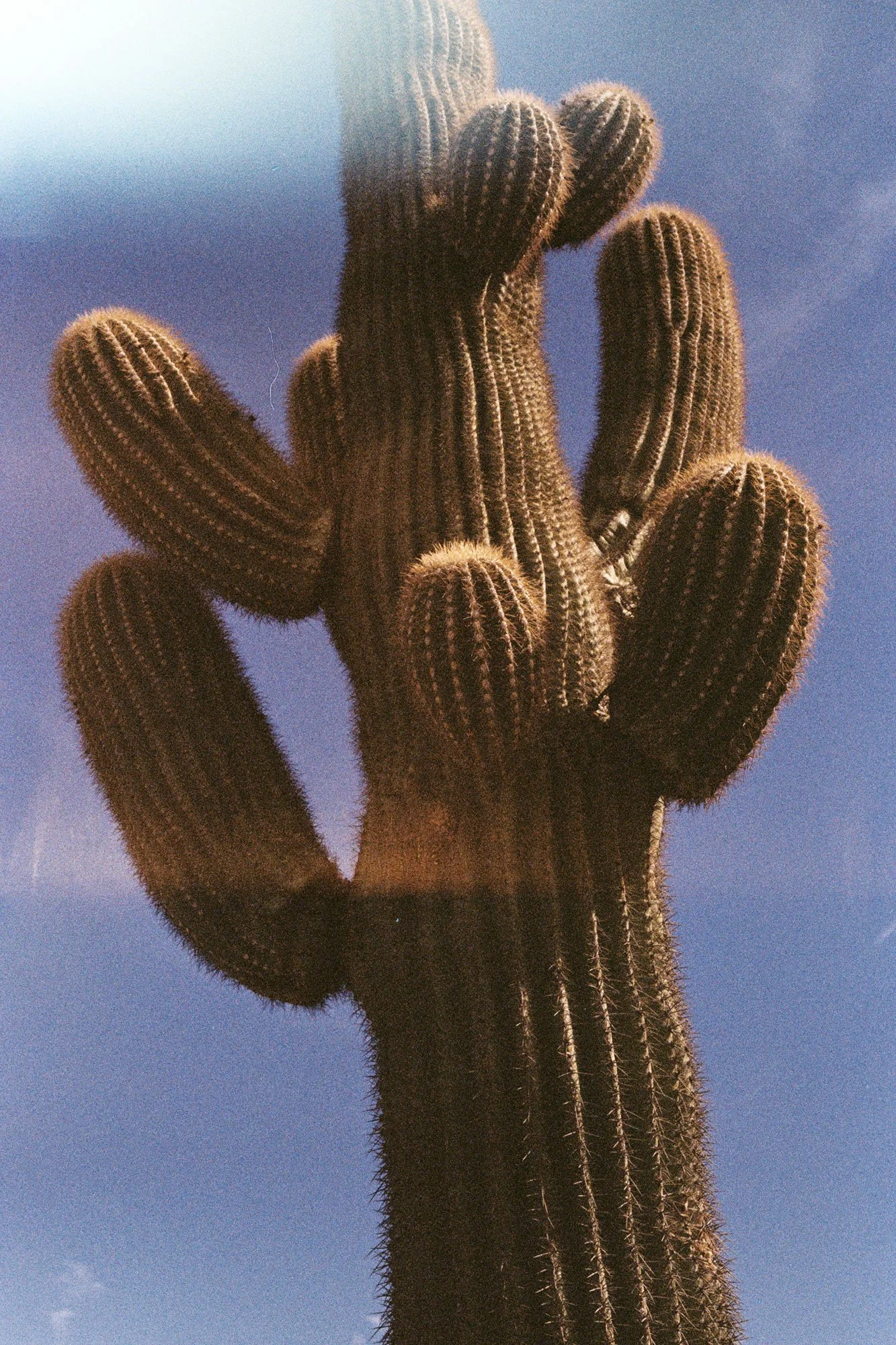 2022-DesertLandscape_JeremyGuns_Canon--024.jpg
