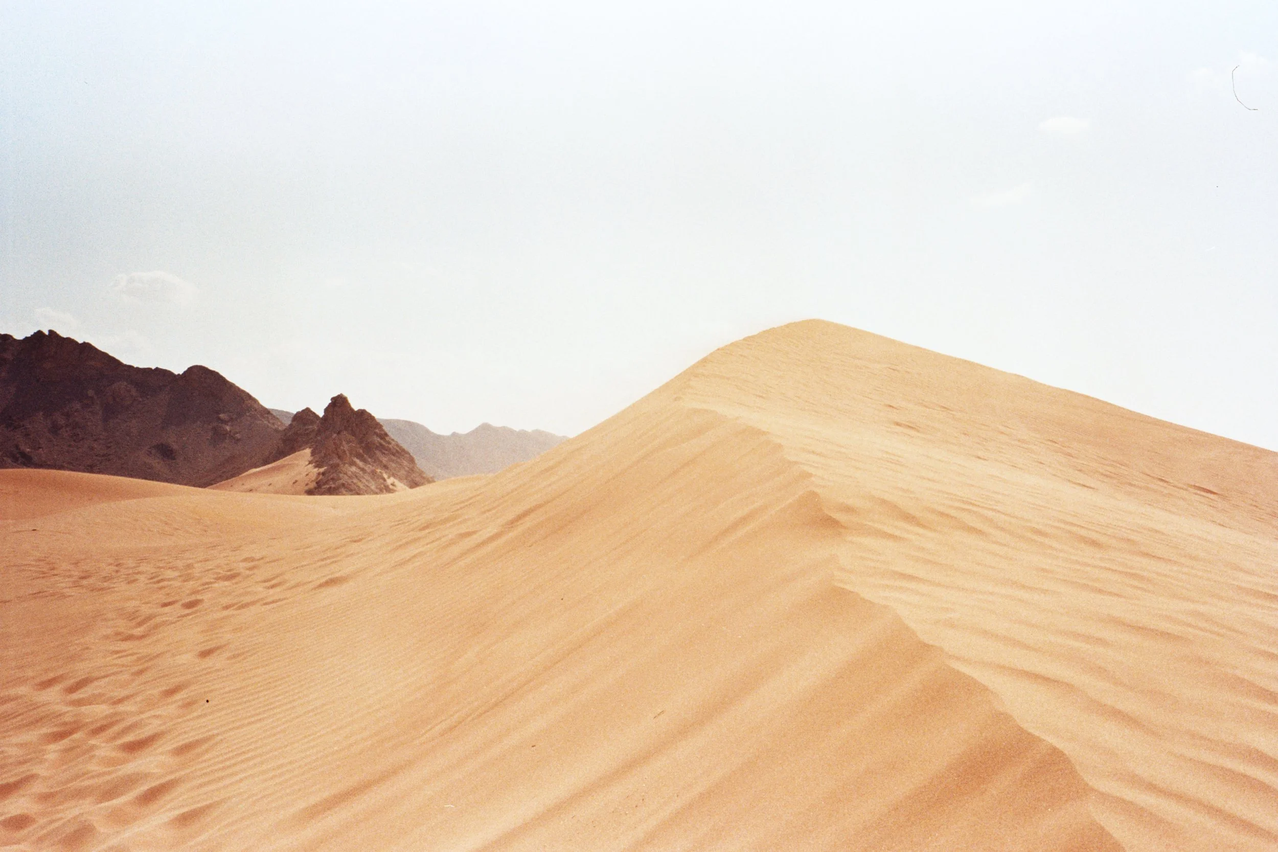 2022-Dubai_T2-005.jpg