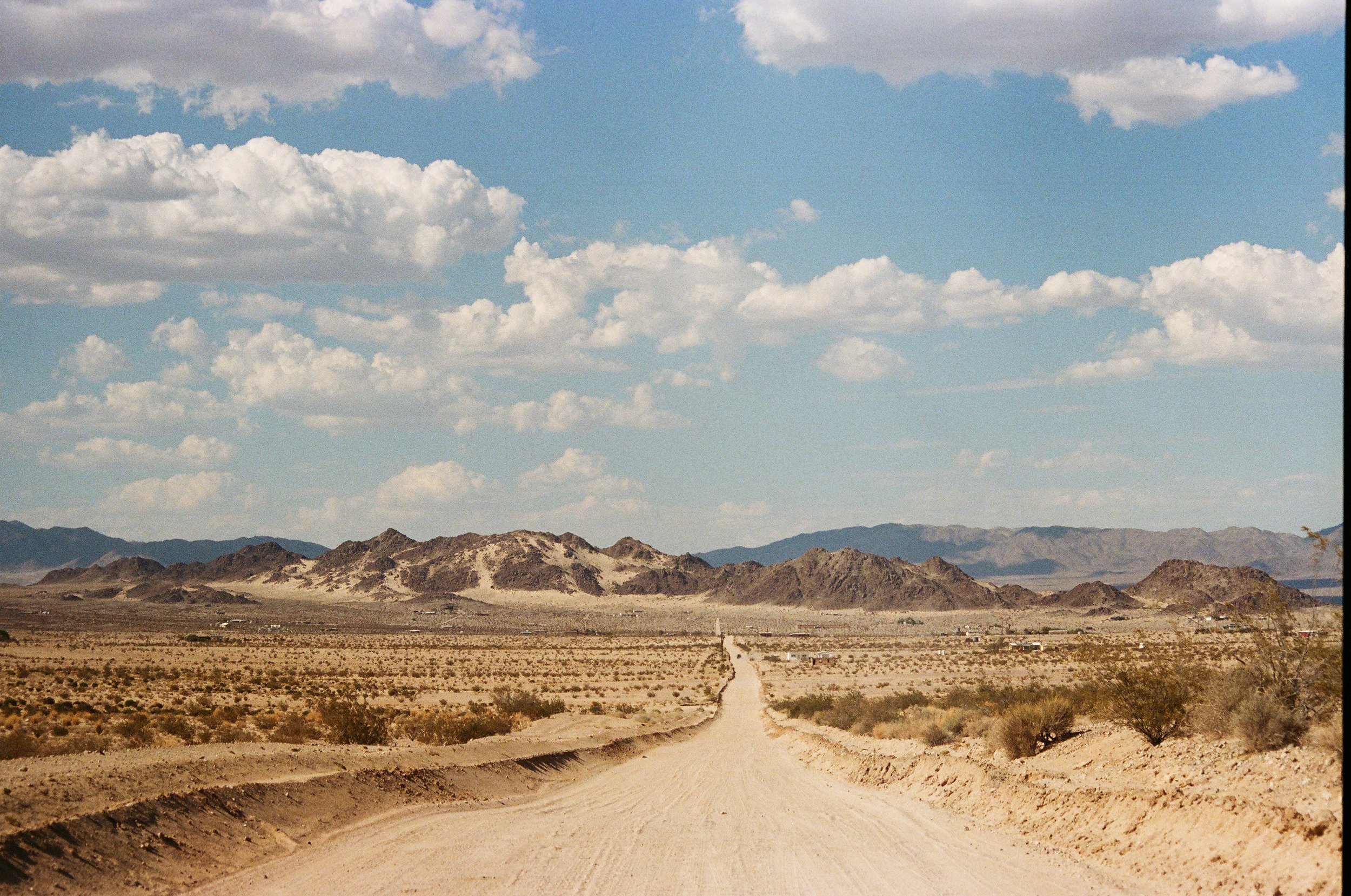 2025-AE1_MT_Vegas_29Palms_Portra_400-029.jpg