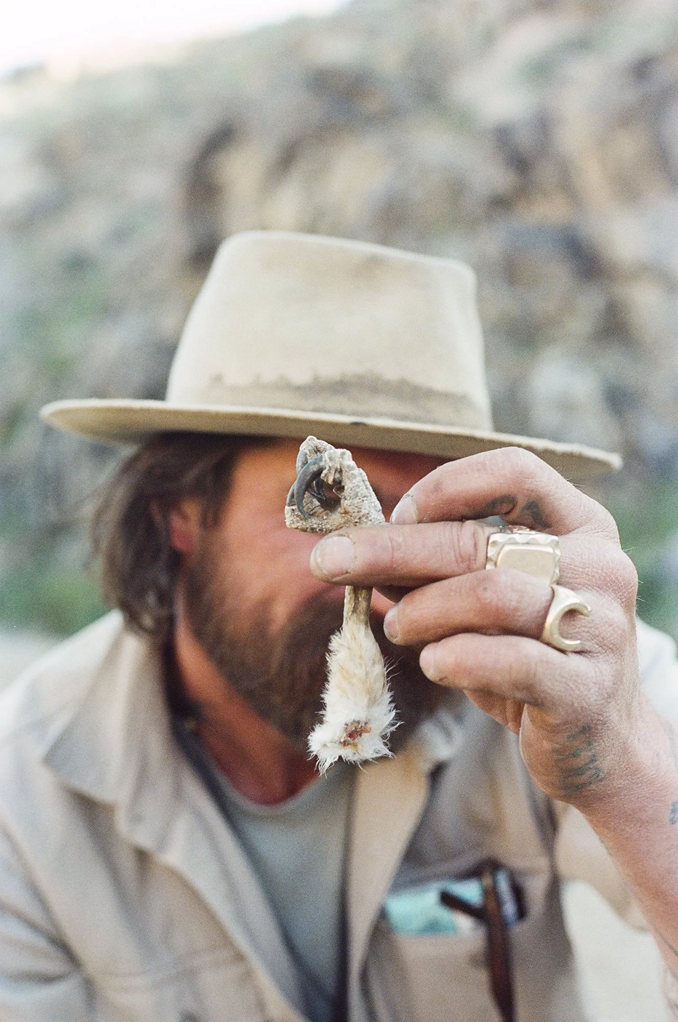 John Michael - Desert Faces