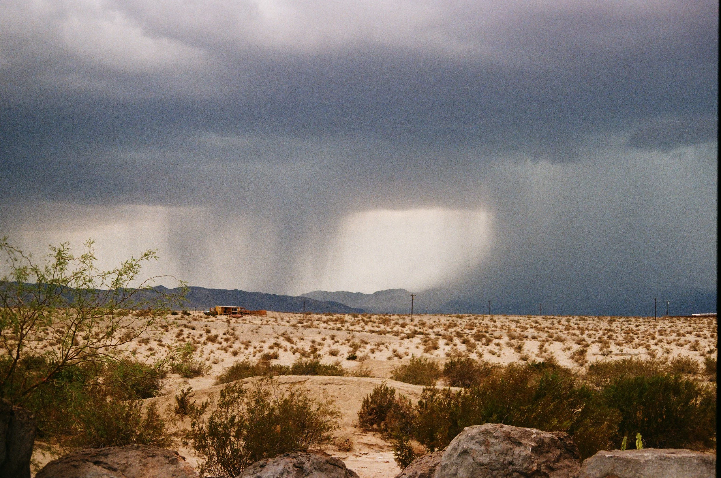 2025-AE1_Frank_Syd_Wedding_Kodak 200-012.jpg