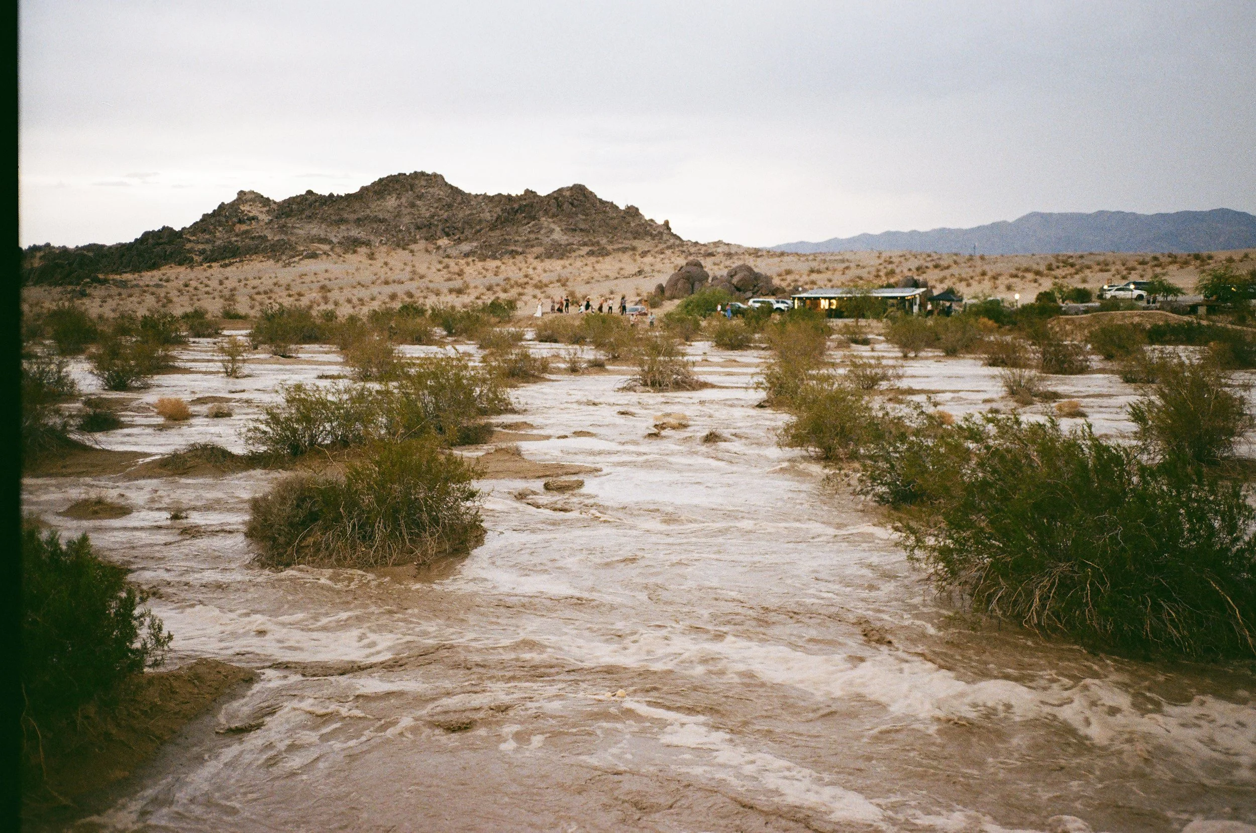 2025-T3_Nick_40th_Frank_Syd_Kodak 200-033.jpg