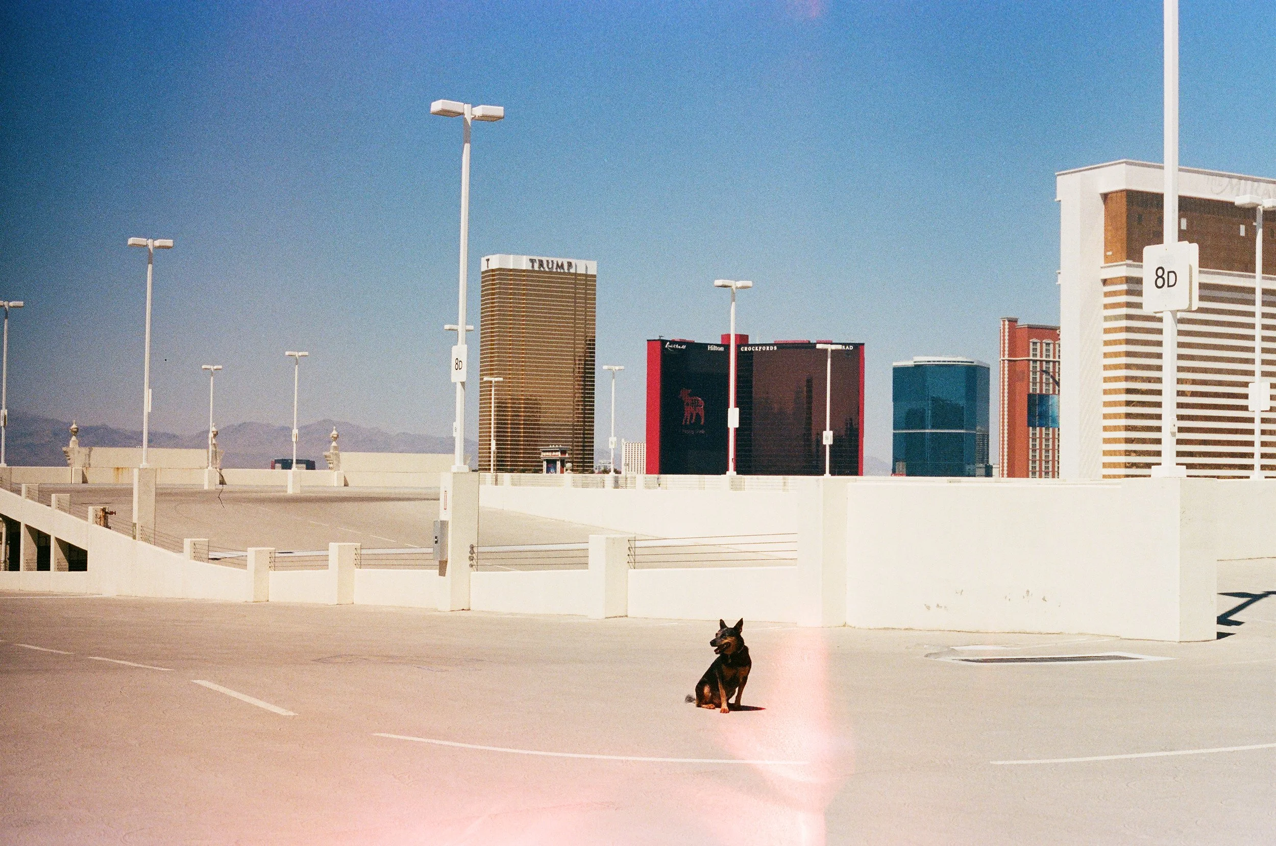 2025-AE1_MT_Vegas_29Palms_Portra_400-008.jpg