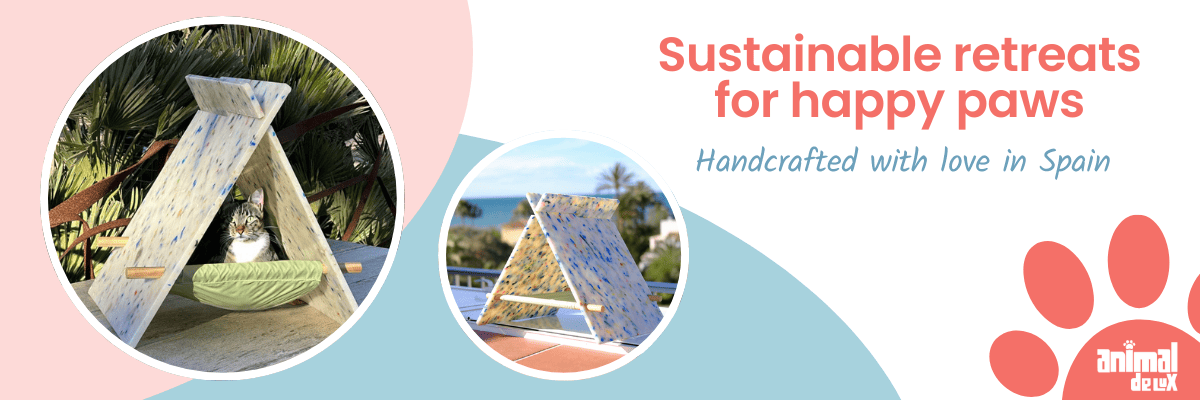 branding - banner webpage