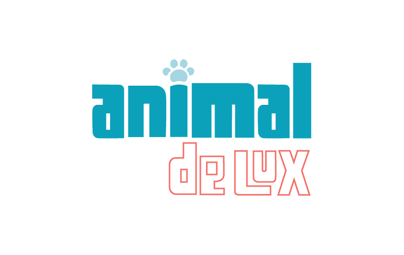 branding - logo creation