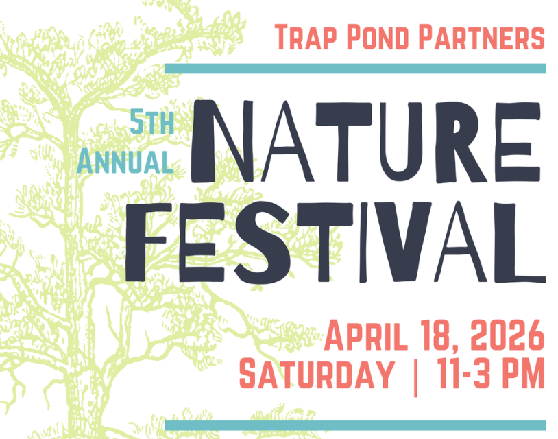 Nature Festival