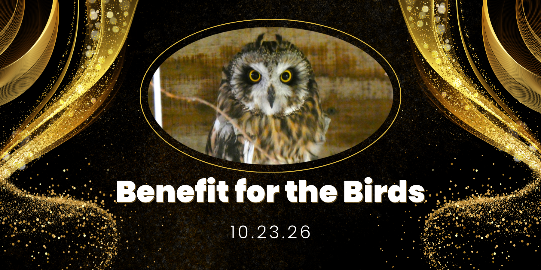 Benefit for the Birds