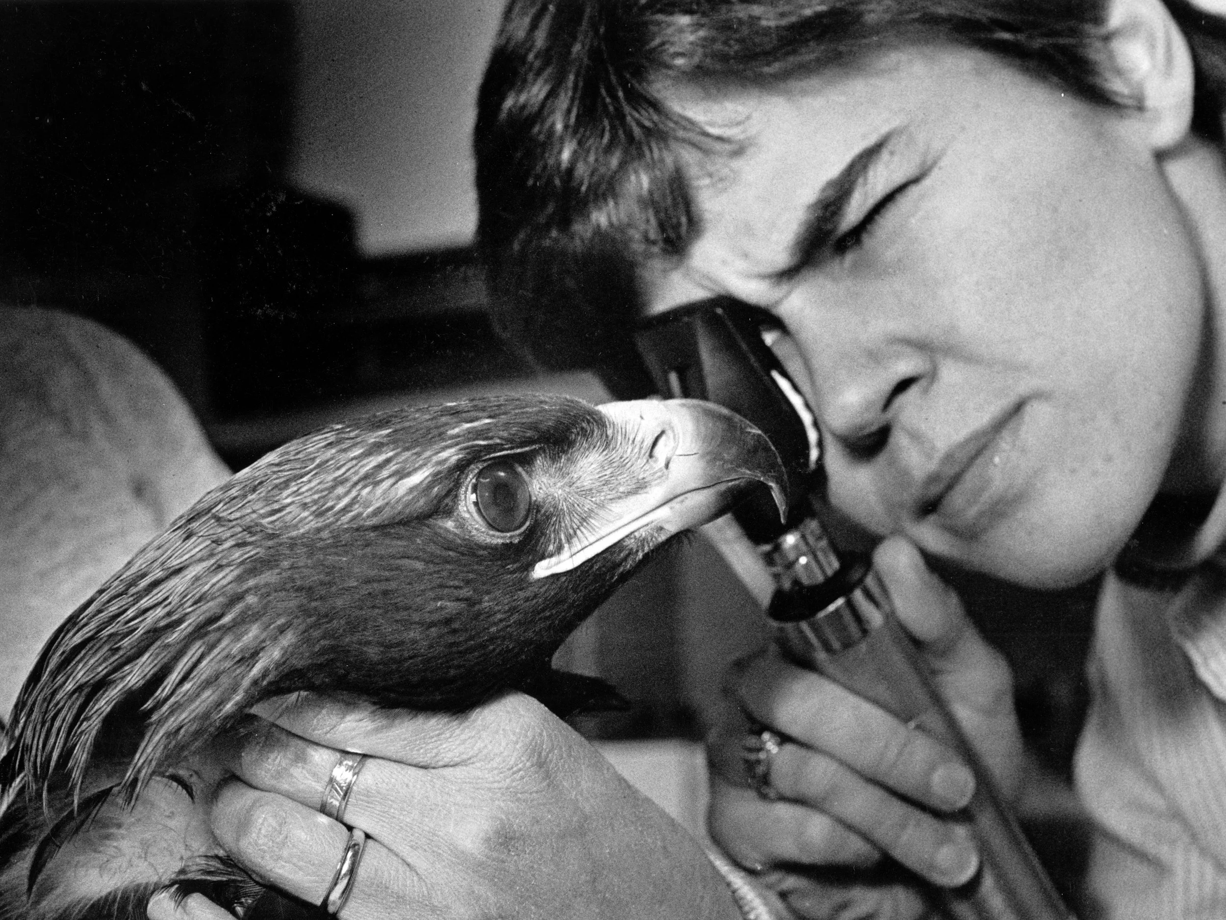 1990s Bird - Bird Care 001 (3).jpg