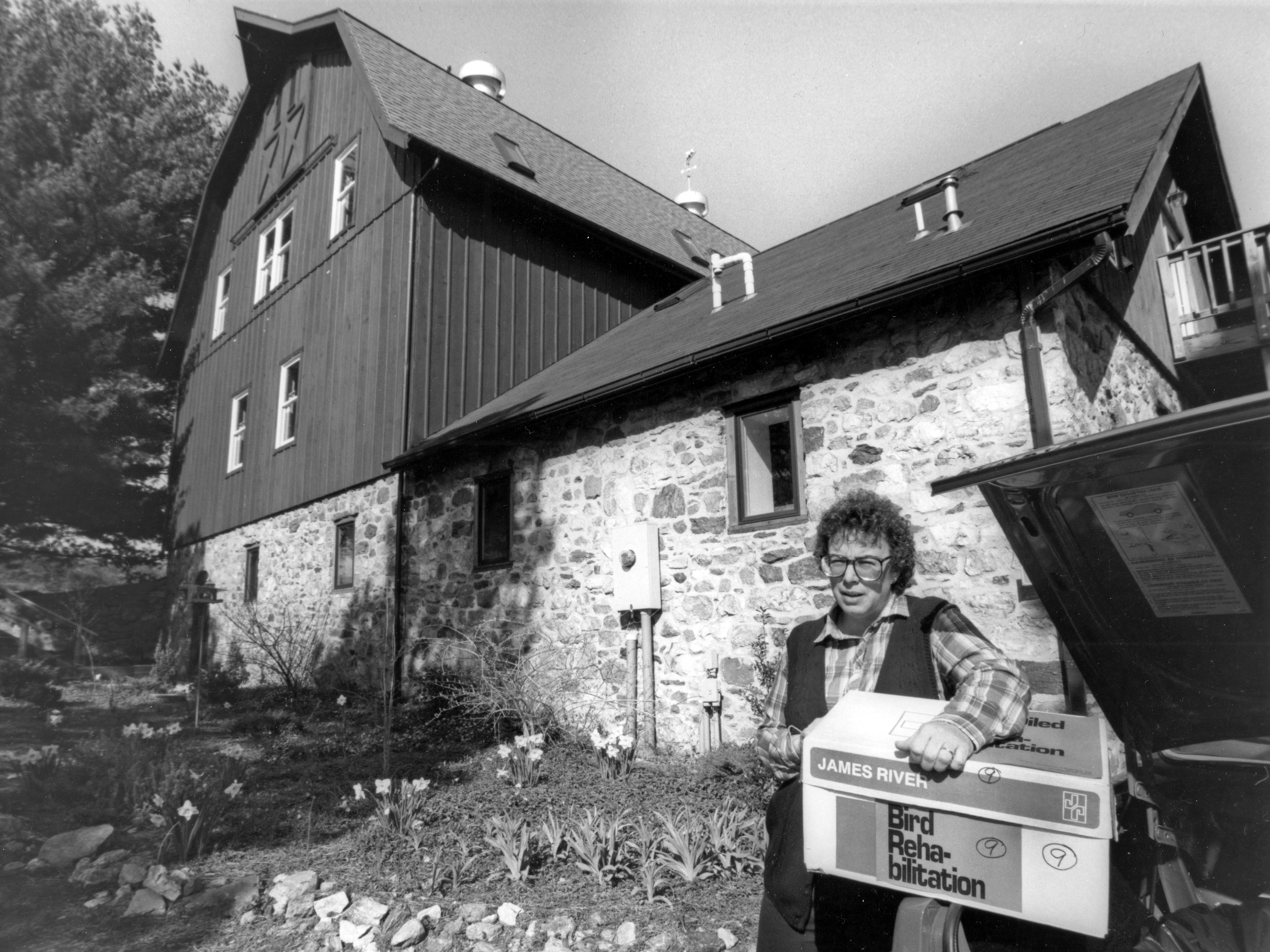 Lynne Frink 61 20A.jpg