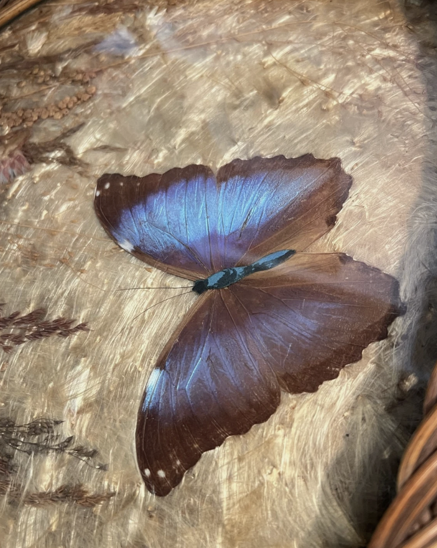 Screenshot 2026-04-29 at 12.40.23 PM.png