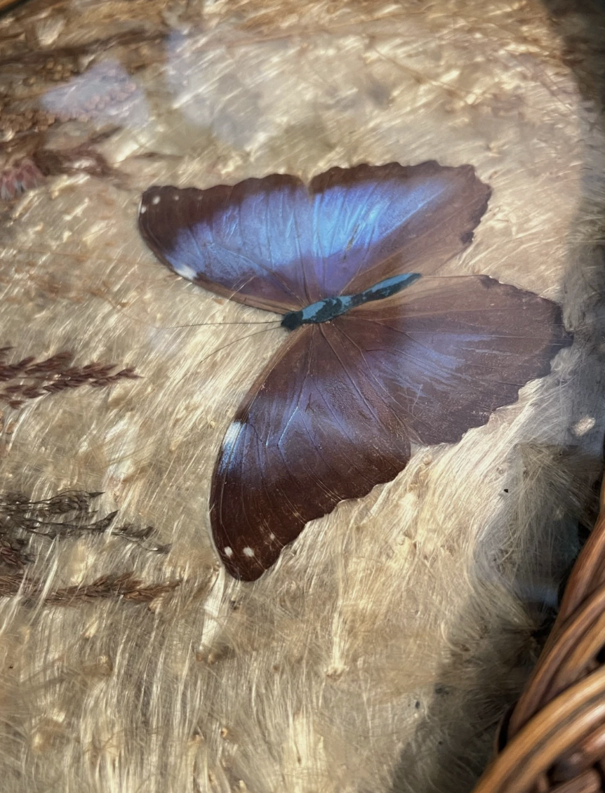 Screenshot 2026-04-29 at 12.40.27 PM.png