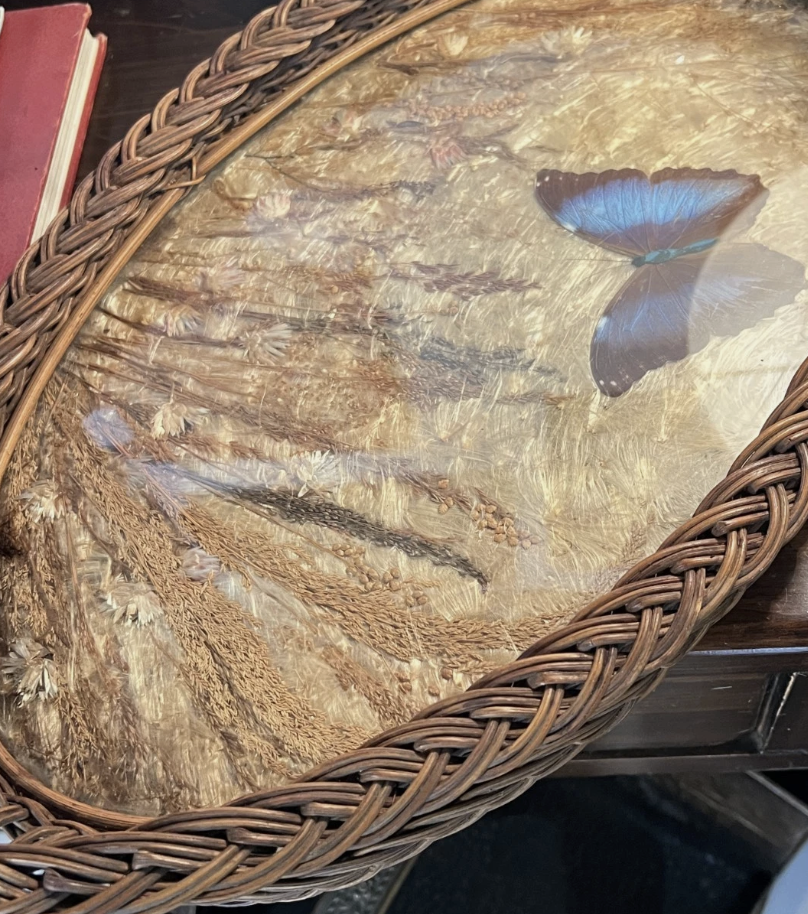 Screenshot 2026-03-13 at 4.00.40 PM.png