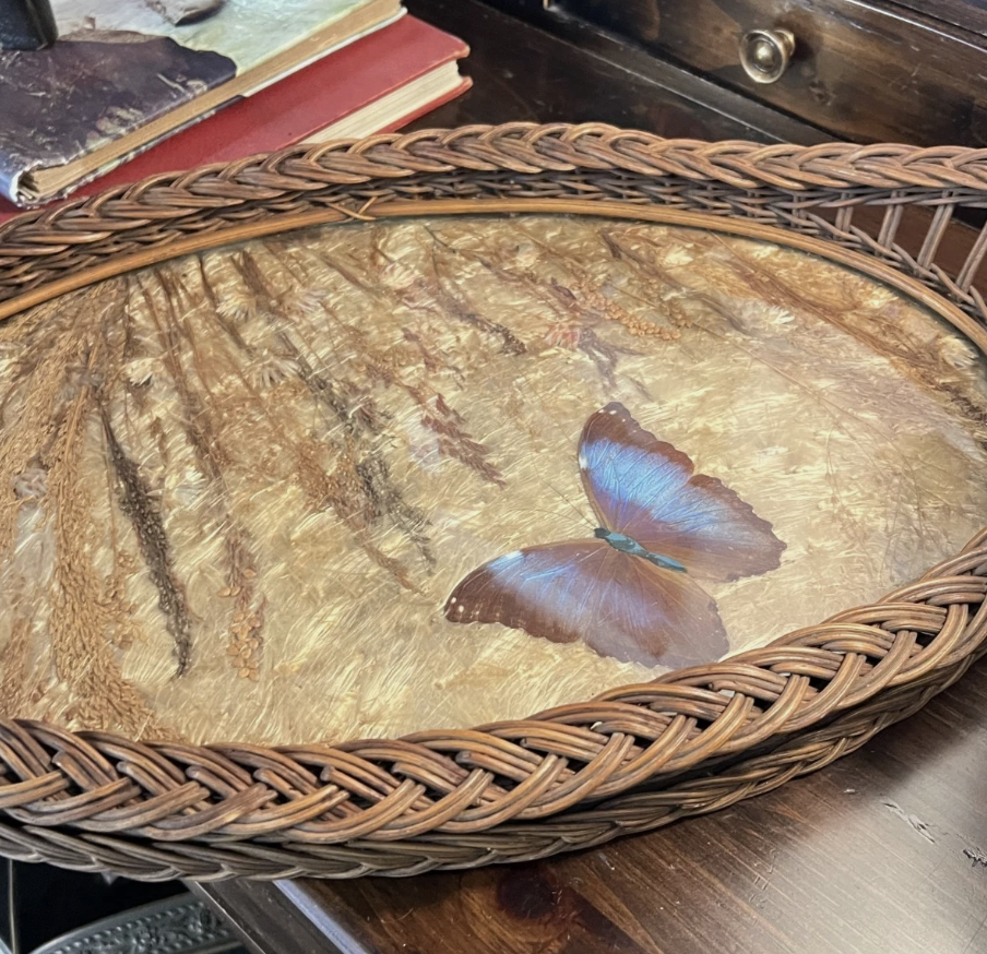 Screenshot 2026-04-29 at 12.39.53 PM.png