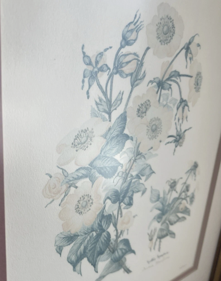 Screenshot 2026-04-09 at 1.11.11 PM.png