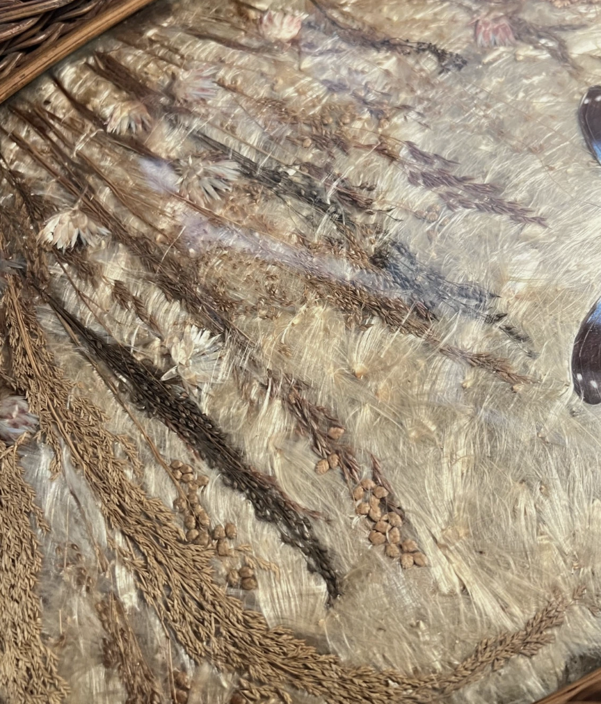 Screenshot 2026-03-13 at 4.00.51 PM.png