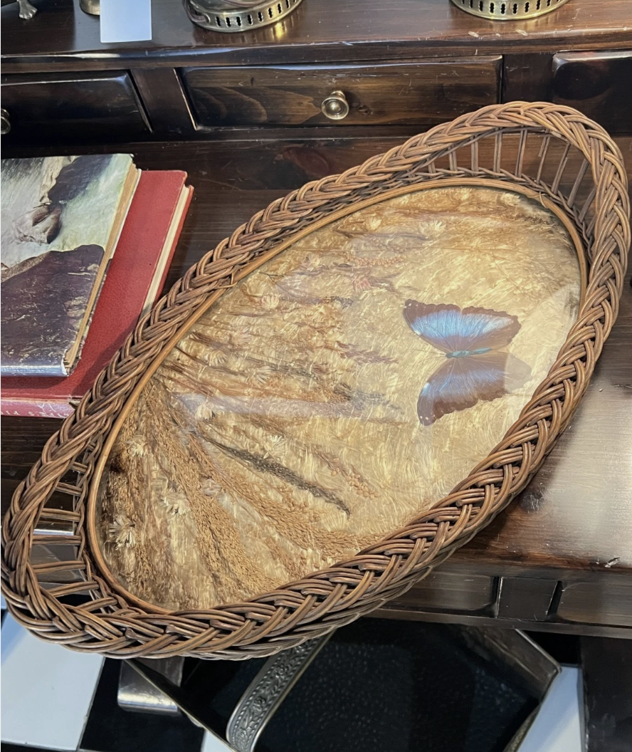 Screenshot 2026-03-13 at 4.00.17 PM.png