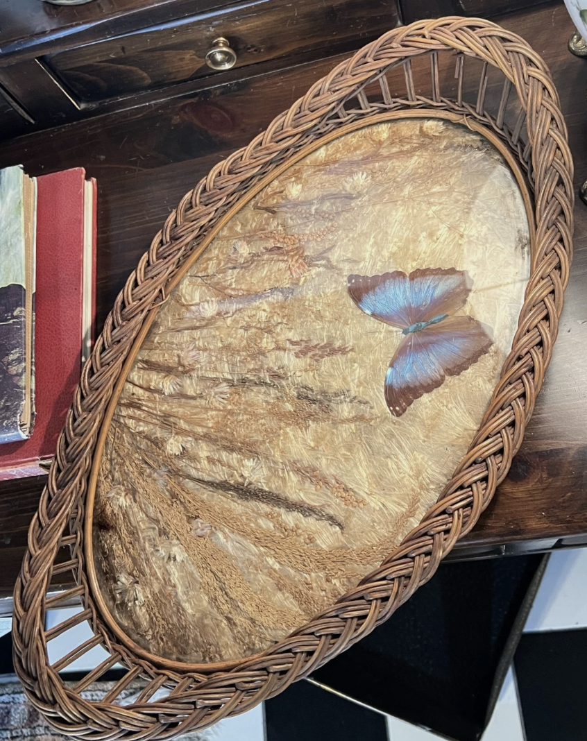 Screenshot 2026-04-29 at 12.40.06 PM.png