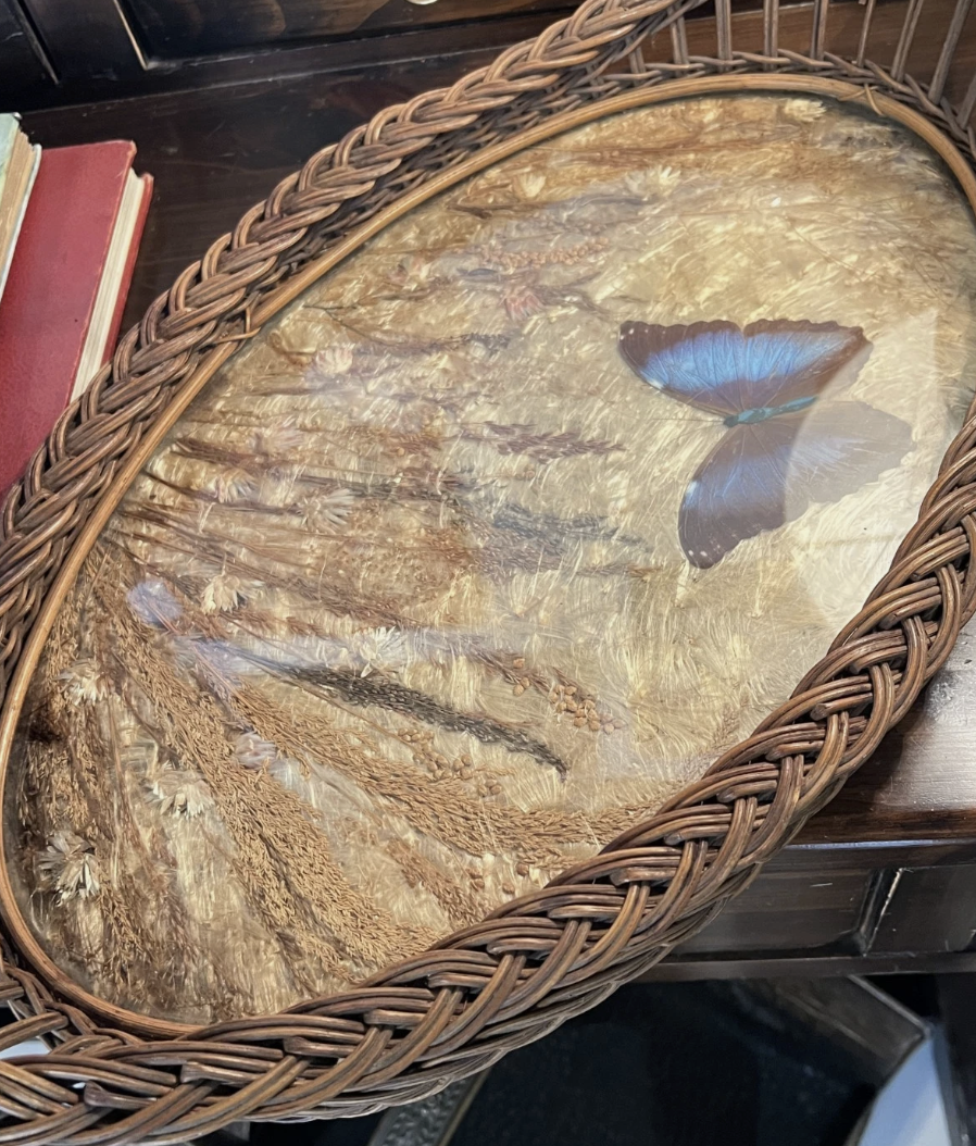 Screenshot 2026-04-29 at 12.40.11 PM.png