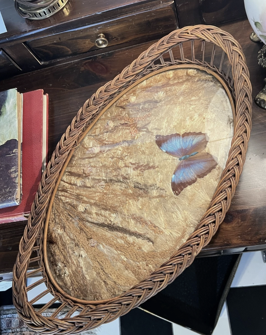 Screenshot 2026-03-13 at 4.00.36 PM.png