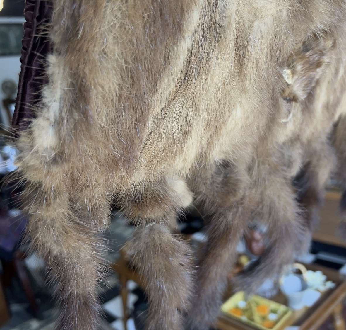 Screenshot 2026-01-27 at 2.34.54 PM.png