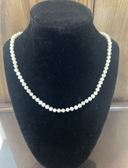 Screenshot 2026-02-02 at 12.21.34 PM.png