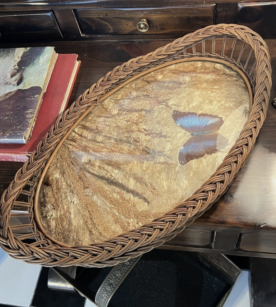 Screenshot 2026-04-29 at 12.39.42 PM.png