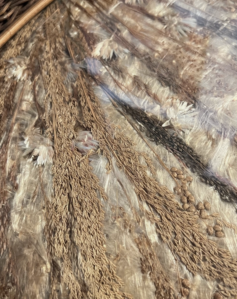 Screenshot 2026-03-13 at 4.00.45 PM.png